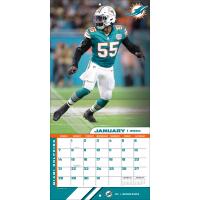 NFL Kalender Wandkalender 2024 30x60cm Miami Dolphins