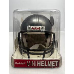 NFL Riddell Football Mini Helm Tampa Bay Buccaneers Williams !!B-Ware!!